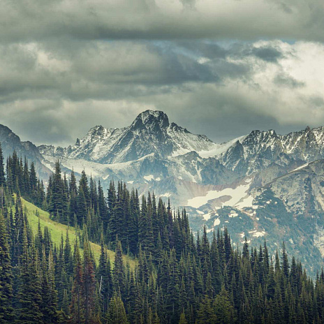 Актуальные HR-вопросы и тенденции рынка труда